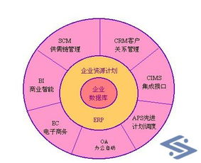 四川頂尖電子商務(wù)開(kāi)發(fā)公司推薦 打造專業(yè)商城網(wǎng)站與網(wǎng)絡(luò)開(kāi)發(fā)解決方案